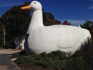 A Visit To The Big Duck – Retiredguy